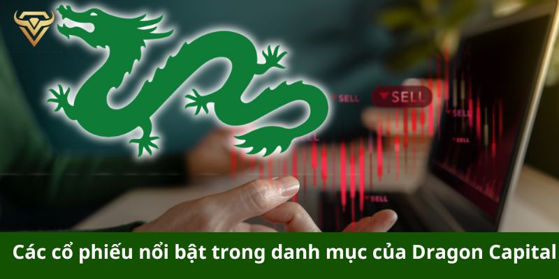 cac co phieu noi bat trong danh muc cua dragon capital