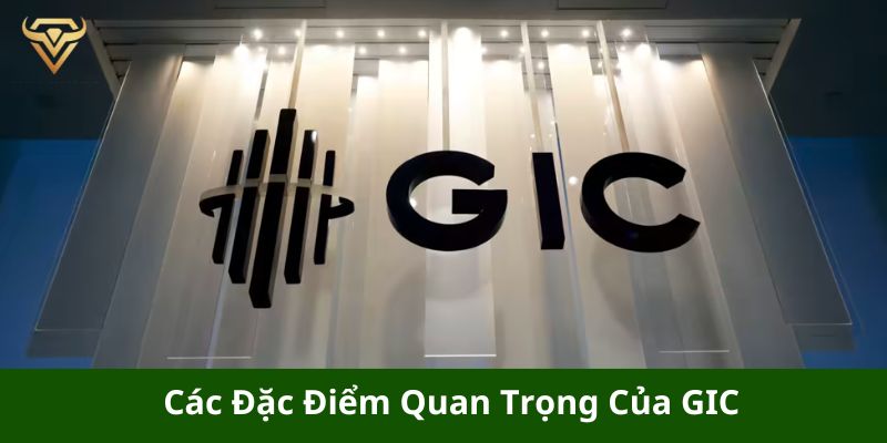 cac dac diem quan trong cua gic