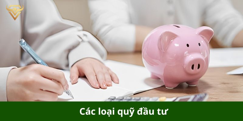 cac loai quy huu tri pho bien hien nay