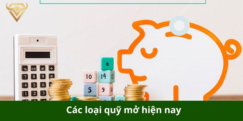 cac loai quy mo hien nay