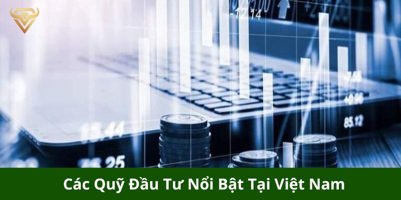 cac quy dau tu noi bat tai viet nam