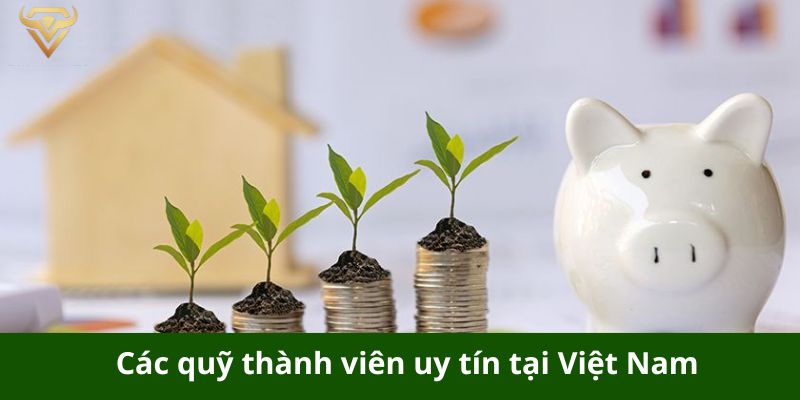 cac quy thanh vien uy tin tai viet nam