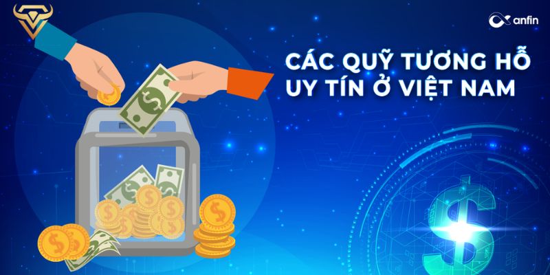 cac quy tuong ho tai viet nam hien nay