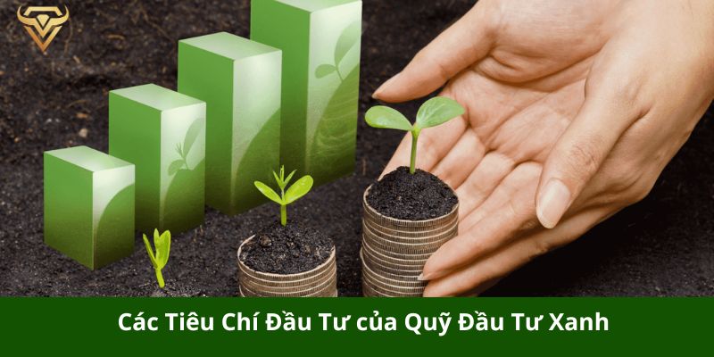 cac tieu chi dau tu cua quy dau tu