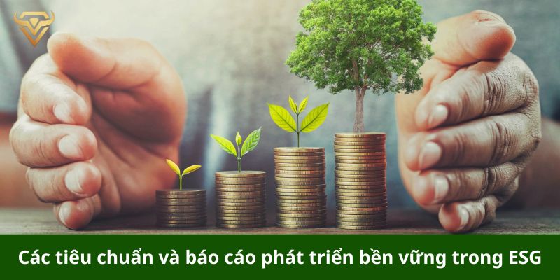 cac tieu chuan va bao cao phat trien ben vung trong esg