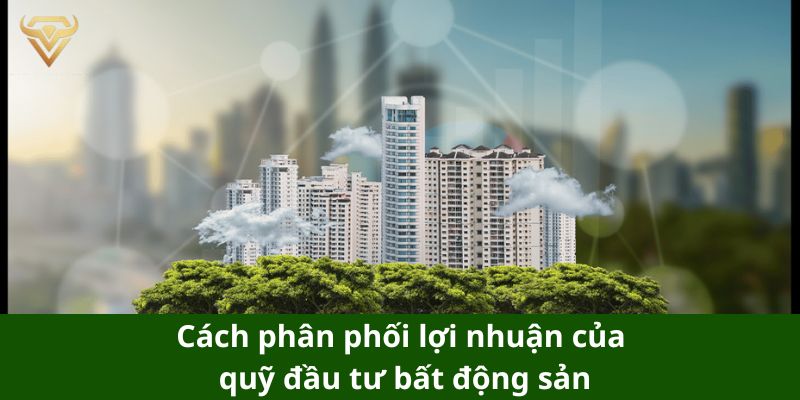 cach phan phoi loi nhuan cua quy dau tu bat dong san