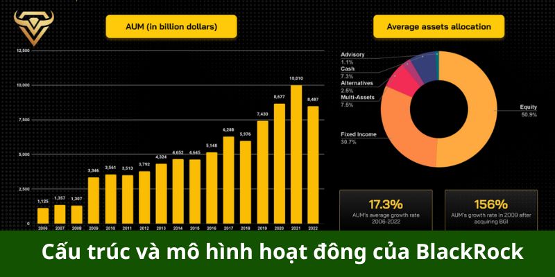 cau truc va mo hinh hoat dong cua blackrock