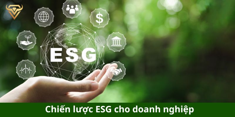 chien luoc esg cho doanh nghiep va cac buoc thu hut dau tu esg