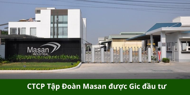 ctcp tap doan masan