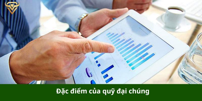 dac diem cua quy dai chung