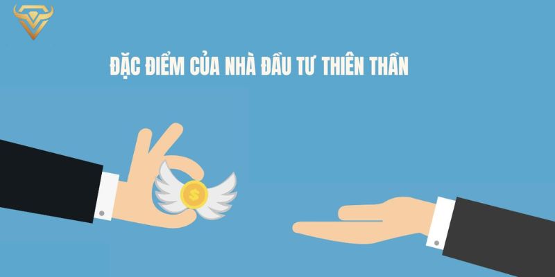 dac diem va cach thuc dau tu cua nha dau tu thien than