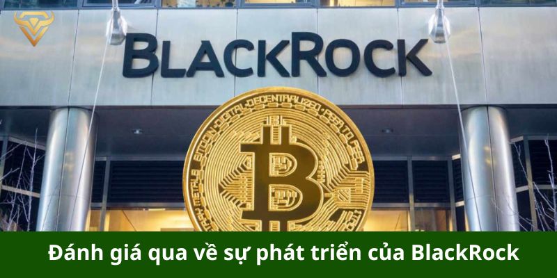 danh gia qua ve su phat trien cua blackrock