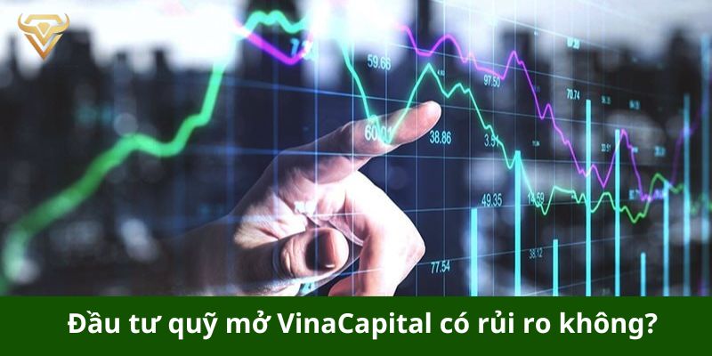 dau tu quy mo vinacapital co rui ro khong