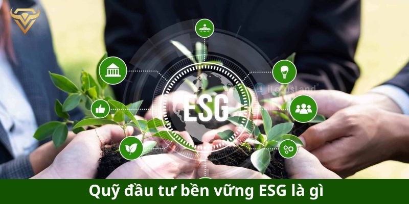 esg la gi va tai sao no quan trong