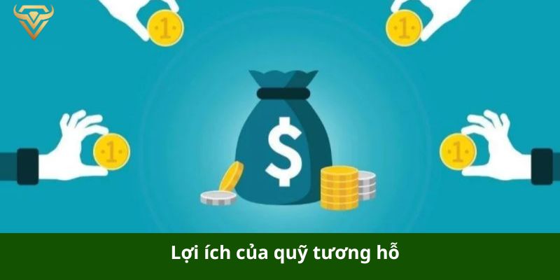 loi ich cua quy tuong ho