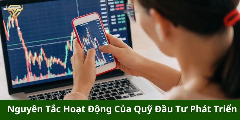 nguyen tac hoat dong cua quy dau tu phat trien