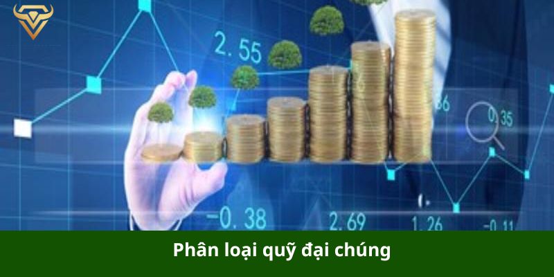 phan loai quy dai chung