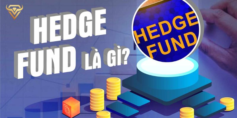 quy phong ho hedge fund la gi