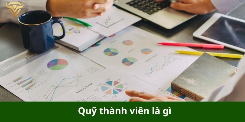 quy thanh vien la gi