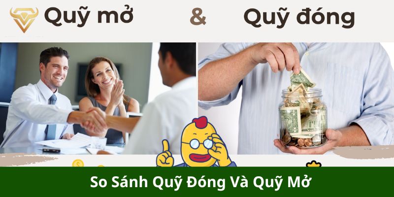 so sanh quy dong va quy mo