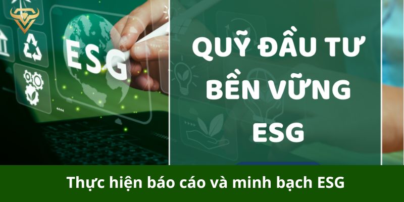 thuc hien bao cao va minh bach esg