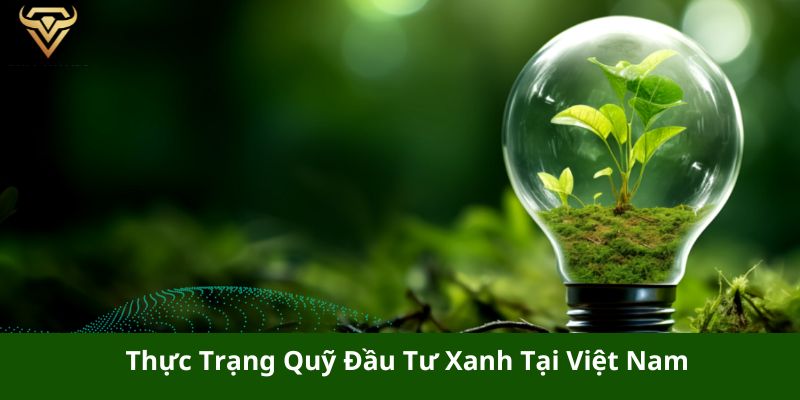 thuc trang quy dau tu xanh tai viet nam