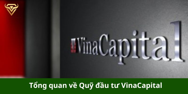 tong quan ve quy dau tu vinacapital