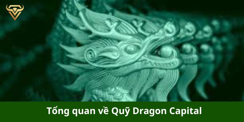 tong quan ve quy dragon capital