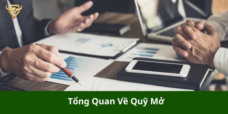 tong quan ve quy mo