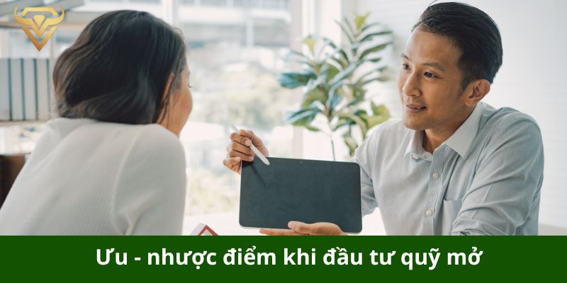 uu nhuoc diem khi dau tu quy mo