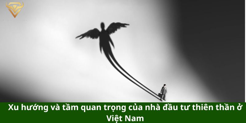 xu huong va tam quan trong cua nha dau tu thien than o viet nam