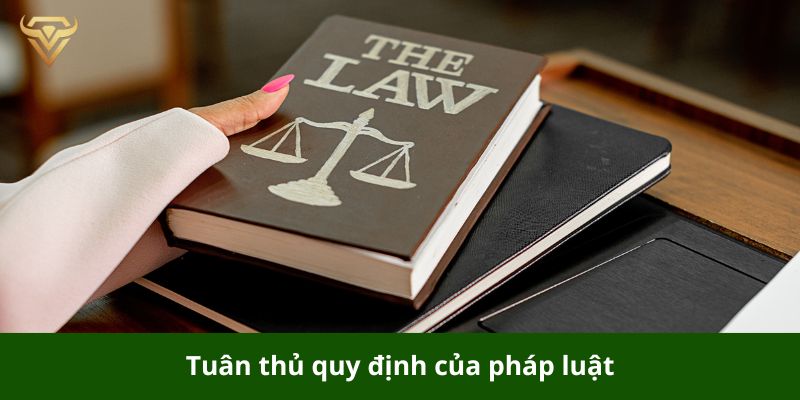 Bất cứ doanh nghiệp nào cũng cần hoạt động tuân thủ quy định pháp luật