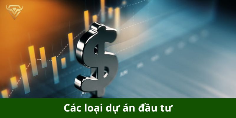 Các loại dự án đầu tư