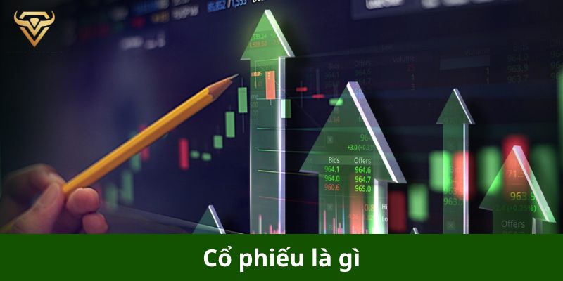 Cổ Phiếu Là Gì?