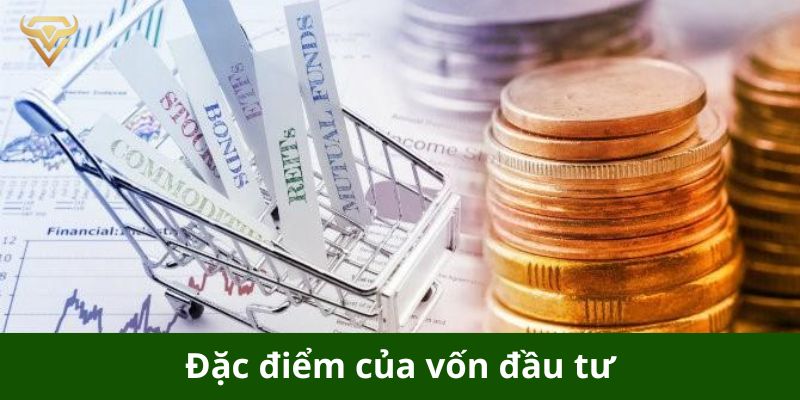 Đặc điểm của vốn đầu tư