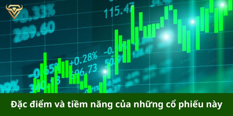 Đặc điểm và tiềm năng của những cổ phiếu này