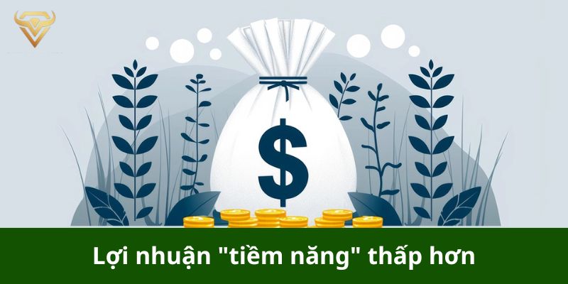 lợi nhuận tiềm năng thấp hơn