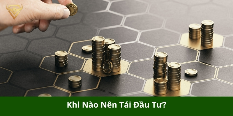 khi nào nên tái đầu tư