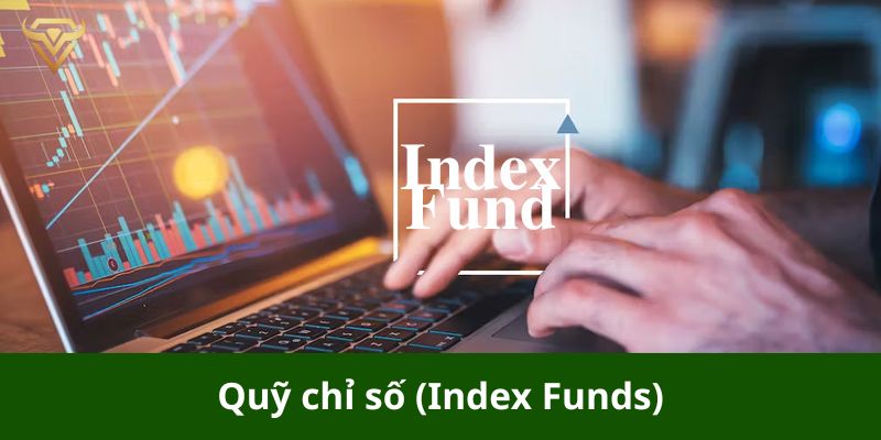 quỹ chỉ số index funds