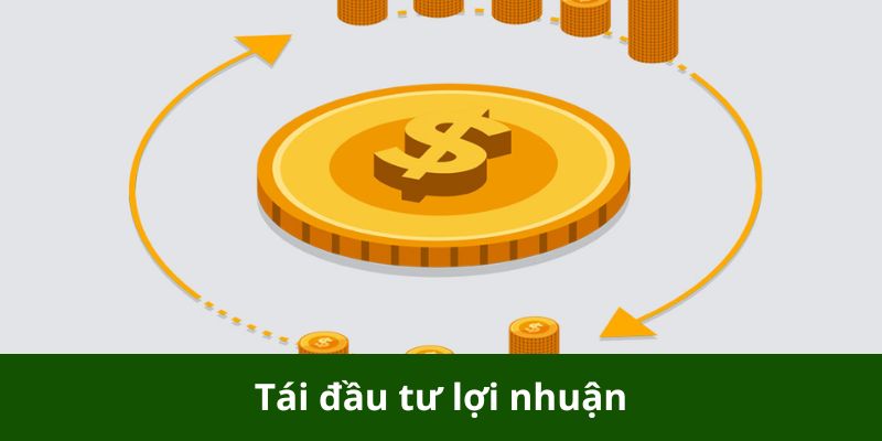 tái đầu tư lợi nhuận