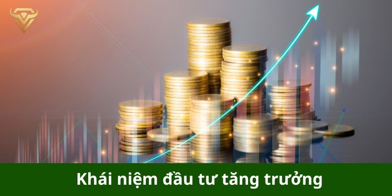 Khái niệm đầu tư tăng trưởng