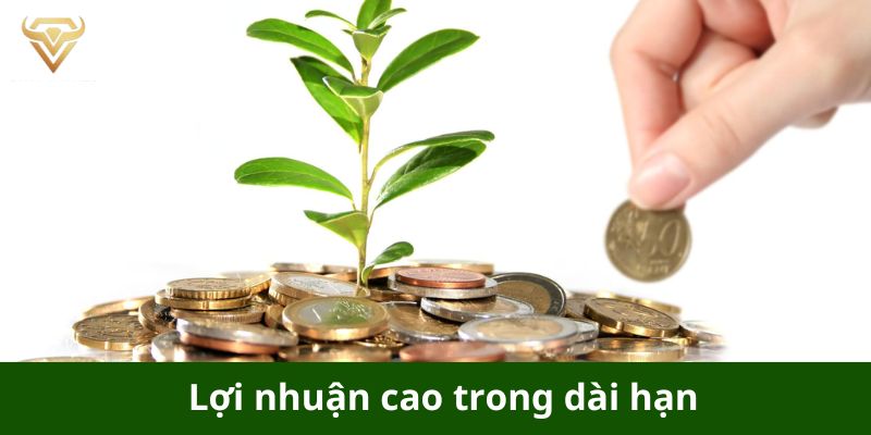 Lợi nhuận cao trong dài hạn