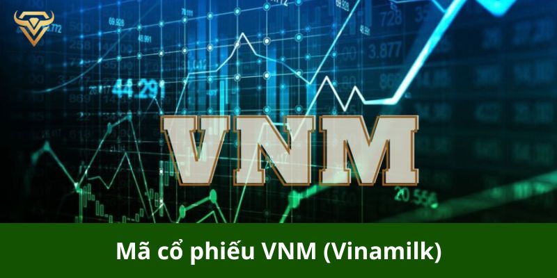 Mã cổ phiếu VNM (Vinamilk)