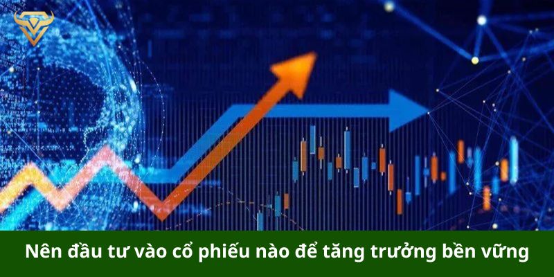 Nên đầu tư vào cổ phiếu nào để tăng trưởng bền vững