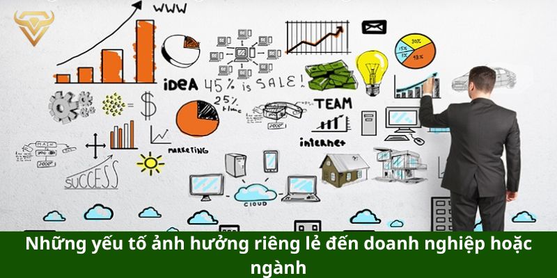 Những yếu tố ảnh hưởng riêng lẻ đến doanh nghiệp hoặc ngành