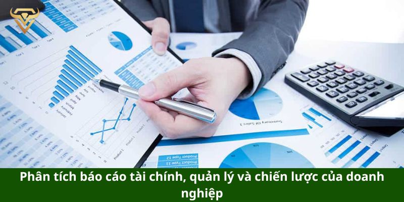 Phân tích báo cáo tài chính, quản lý và chiến lược của doanh nghiệp