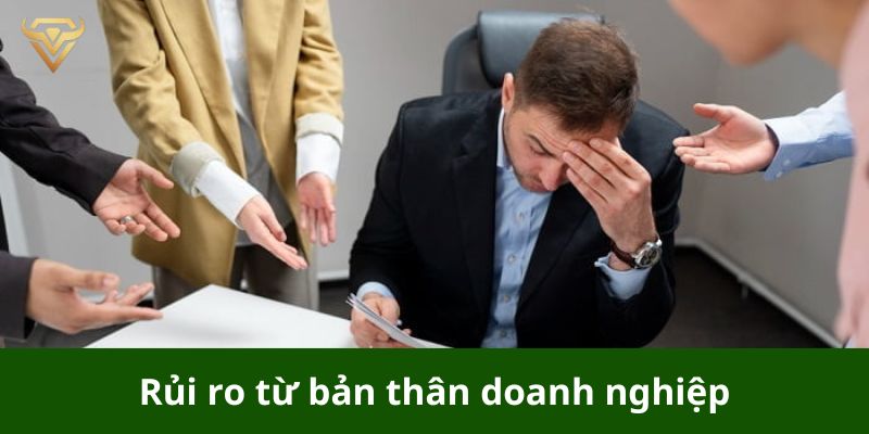 Rủi ro từ bản thân doanh nghiệp