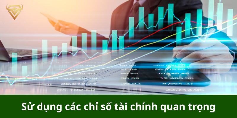 Sử dụng các chỉ số tài chính quan trọng