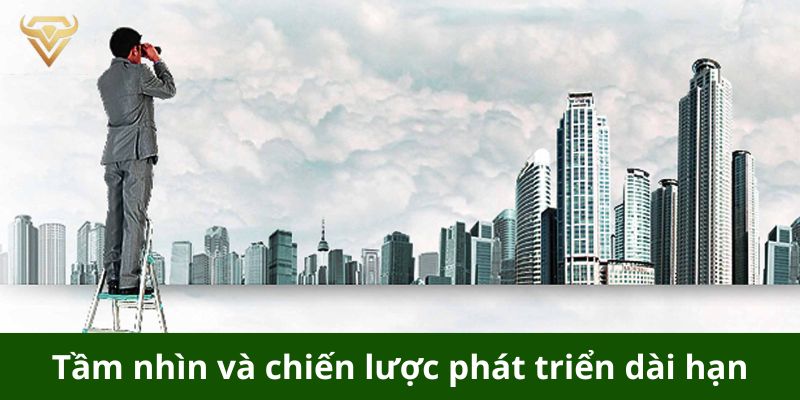 Tầm nhìn và chiến lược phát triển dài hạn