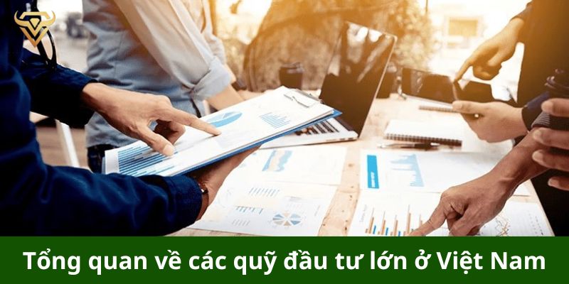 Tổng quan về các quỹ đầu tư lớn ở Việt Nam